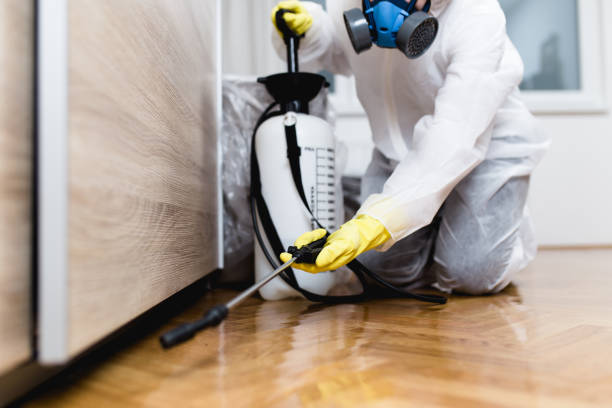 Best Wasp Removal Services  in Roosevelt Gardens, FL
