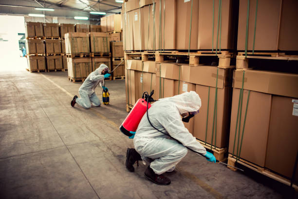 Best Ant Control Services  in Roosevelt Gardens, FL