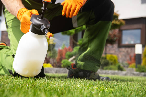 Best Pest Control Near Me  in Roosevelt Gardens, FL