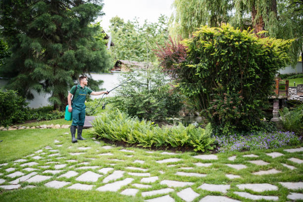 Trusted Roosevelt Gardens, FL Pest Control Experts