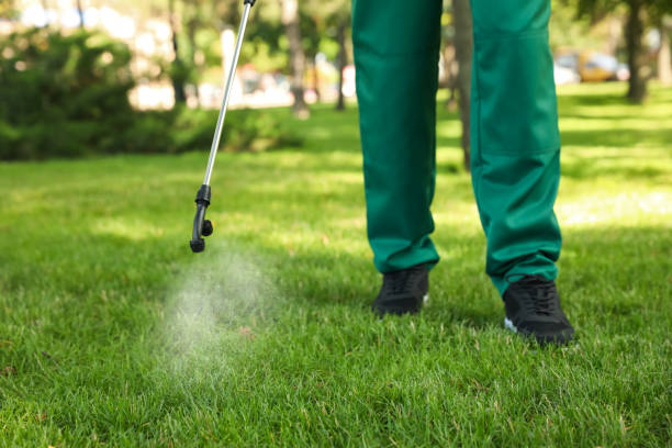 Best Termite Control Services  in Roosevelt Gardens, FL