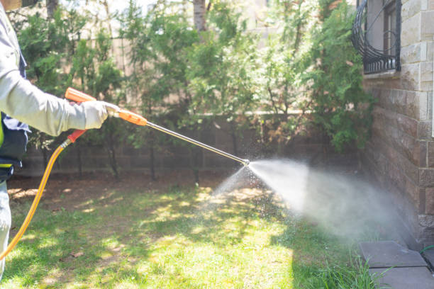 Best Termite Control Services  in Roosevelt Gardens, FL