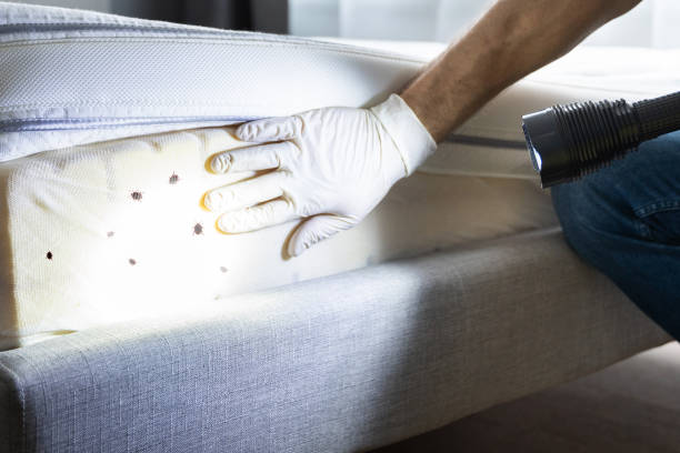 Best Pest Prevention Services  in Roosevelt Gardens, FL