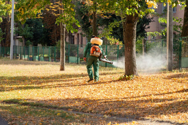 Best Spider Control Near Me  in Roosevelt Gardens, FL