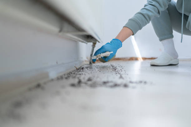 Best Pest Inspection Near Me  in Roosevelt Gardens, FL