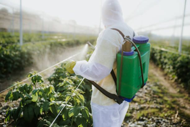  Roosevelt Gardens, FL Pest Control Pros